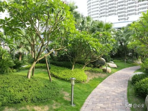 收藏丨園林綠化施工中苗木的管理技術(shù)