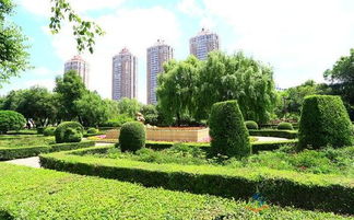 園林綠化施工的五大注意事項(xiàng)及城市綠化管理要點(diǎn)