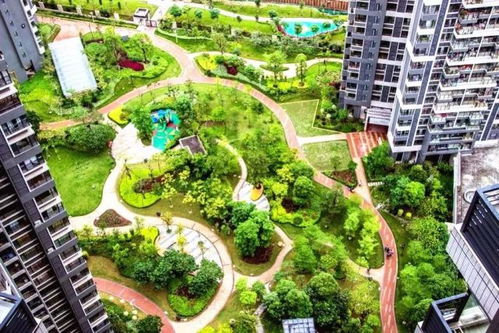 中國風(fēng)景園林學(xué)會優(yōu)秀園林工程精品項目回顧與城市綠化管理實踐